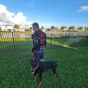 Philipp Plein Men's Biker Studded Jacket Size Large NEW WITH TAGS